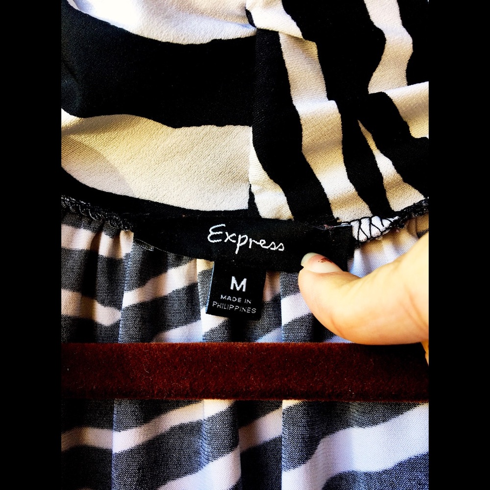Express Dress - Picture 8 of 8